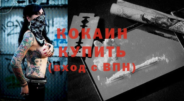гидропоника Пересвет