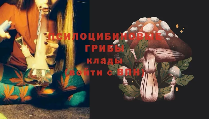 Галлюциногенные грибы Cubensis Красновишерск