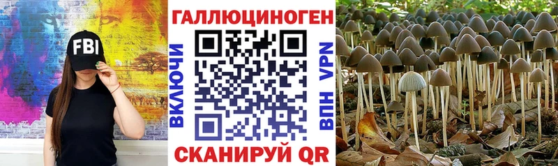 Галлюциногенные грибы ЛСД Красновишерск